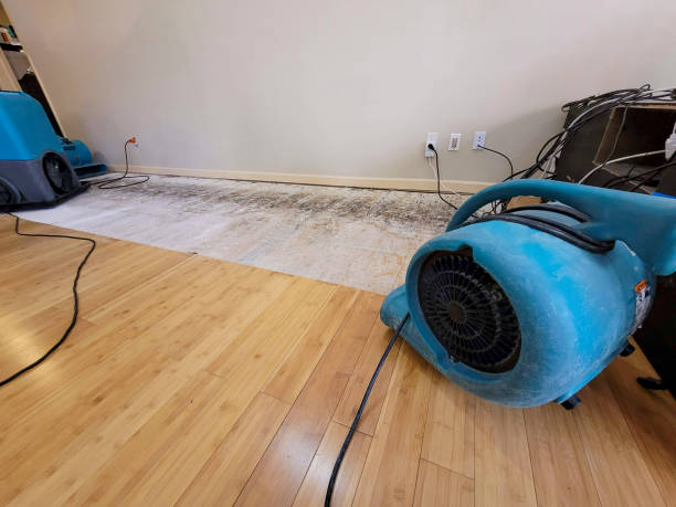 Professional Flood Damage Cleanup technician working in Lindenhurst, IL